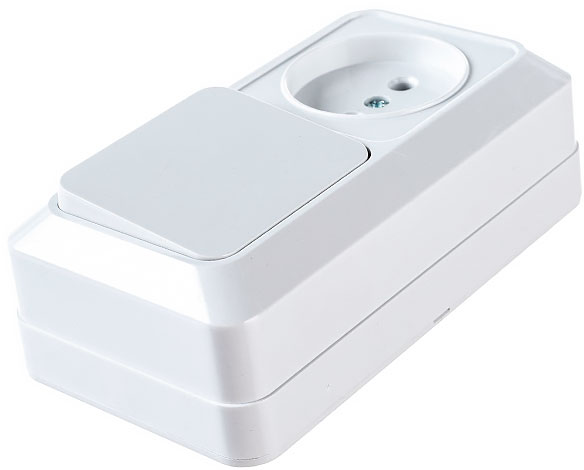 Блок комбинированный выкл. 1-кл. 10А + розетка 2П 10А 250В БКВР IP20 белый Ладога TDM