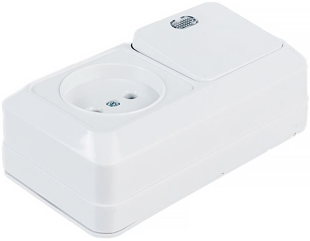 Блок комбинированный выкл. 1-кл. с/п 10А + розетка 2П 10А 250В БКВР IP20 белый Ладога TDM