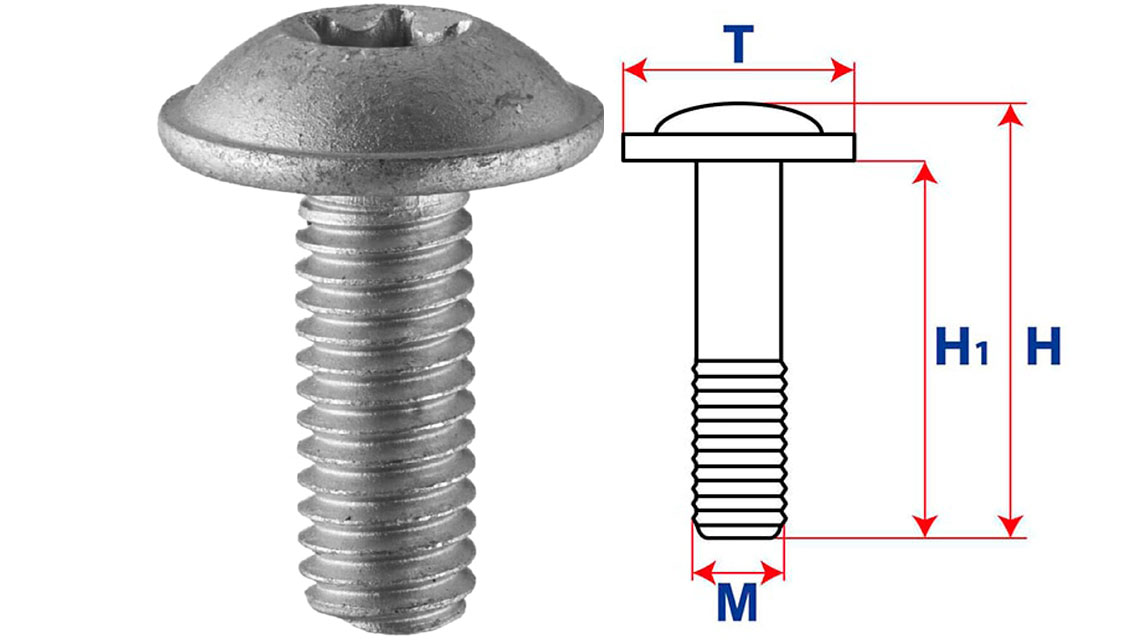 Винт под звездообразную отвертку, TORX металл 19201