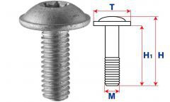 Винт под звездообразную отвертку, TORX металл 19201
